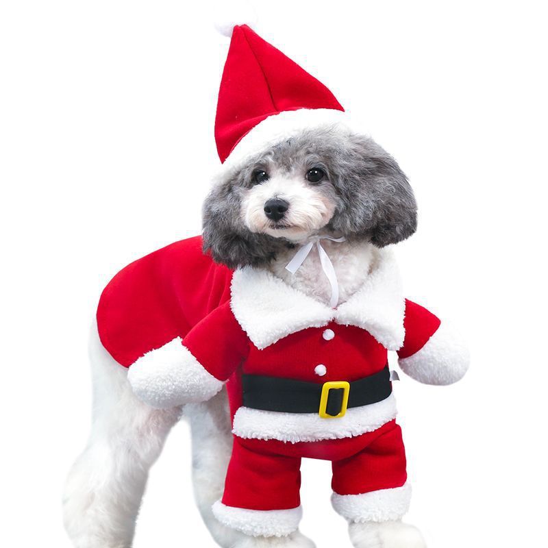 Pet Christmas Essentials