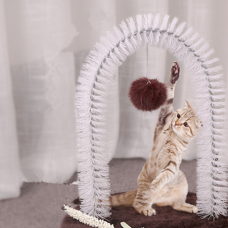 Cat scratching itchy brush Treyfe
