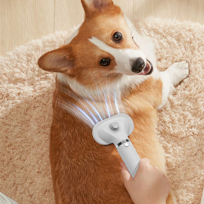 New Portable 2-in-1 Pet Hair Dryer Treyfe
