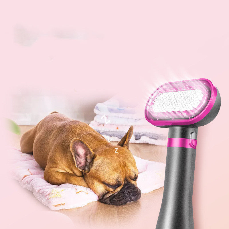 Household Professional Pet Hair Dryer With Hot Air Comb Treyfe