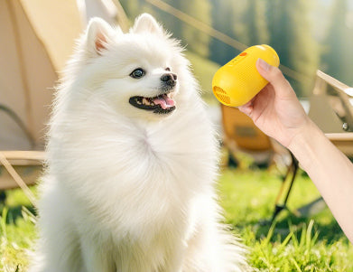 Multifunctional Hair Remover For Cats And Dogsperfect For Summer Hair Cleanup Treyfe