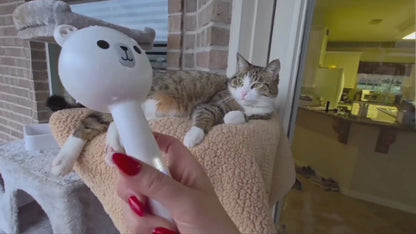 Spray Massage Steam Comb Brush Cleansing Brush