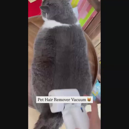 Wireless Portable Electric Pet Vacuum Cleaner