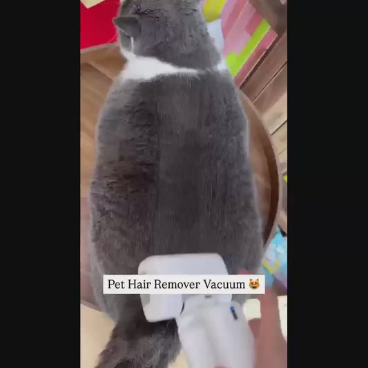 Wireless Portable Electric Pet Vacuum Cleaner