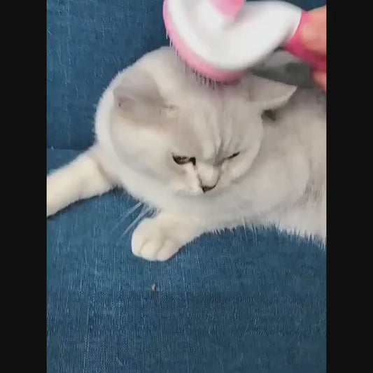 One Click Hair Removal Comb For Pets