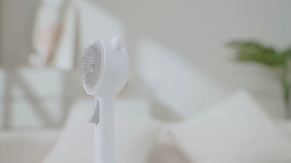 Spray Massage Steam Comb Brush Cleansing Brush